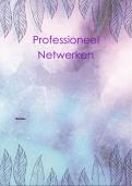 6.2 Professioneel Netwerken