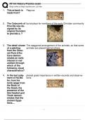 AP Art History Practice exam Q&A With Complete Solution