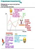 GDP Graph Detailed Notes, Economic Graph, Boom/Downturn/Inflation, AQA Alevel Business