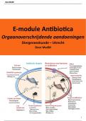 Uitwerking E-module antibiotica - Orgaanoverschrijdende aandoeningen 