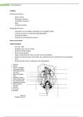 samenvatting anatomie (alle hoofdstukken)