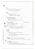 Huckleberry Finn Book Analysis Notes