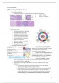 Samenvatting Mechanisms of Disease 2