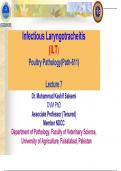 Infectious laryngotracheobronchitis 