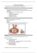 1V - ZT2: uitscheiding, anatomie (samenvatting ademhalingsstelsel)