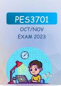 PES3701 Examination Paper 2023 - Guides & Help