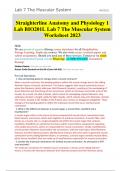 Lab 7 The Muscular System BIO201L Straighterline Anatomy and Physiology 1 Lab BIO201L Lab 7 The Muscular System Worksheet 2023