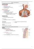 Samenvatting -  Verpleegkundig redeneren en handelen inleidend 2 ademhalingsstelsel