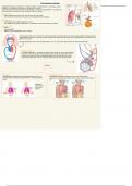 Samenvatting  + Uitgewerkte vragen H2 -  Fysiologie van het orgaanstelsel