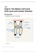 Biology (9700): Chapter 5, The mitotic cell cycle