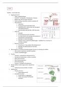 Samenvatting - Practicum: biotechnologie en biochemie, Pymol (J000496A)
