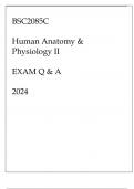 BSC2085C HUMAN ANATOMY & PHYSIOLOGY II EXAM Q & A 2024.
