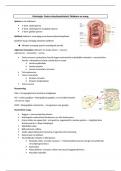Samenvatting histologie van de orgaanstelsels: Slokdarm & maag, 2e bachelor biomedische wetenschappen