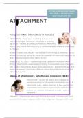 AQA A Level Attachment Revision Notes