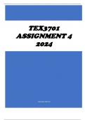 TEX3701 ASSIGNMENT 4 2024