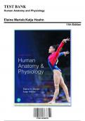 Test Bank: Human Anatomy and Physiology, 11th Edition by Marieb - Chapters 1-29, 9780134580999 | Rationals Included
