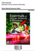 Test Bank: Essentials of Human Anatomy & Physiology  13th Edition by Marieb - Ch. 1-16, 9780137375561, with Rationales