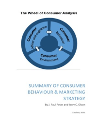 Summary Consumer Behaviour & Marketing Strategy