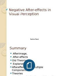 Negative After-effects in Visual Perception