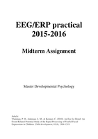 EEG and ERP Midterm Assignment