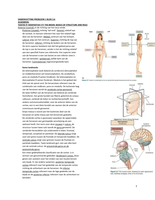 Blok 3.6: Complete samenvatting Neuropsychologie 