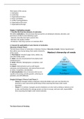 Management & Organisation Y2Q2 IBMS
