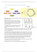 Summary 0HSUA0 Advancing light for human functioning Module B