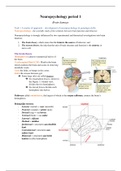Summary Brain damage PSY4061