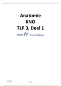 TLP 3: Anatomie - KNO