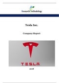 Tesla Jahresbericht 2018