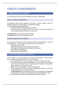 CML2010 Credit Agreements Notes