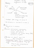 BOT1501 summary notes (58 pages handwritten)