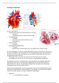 Samenvatting Cardiologie, Jaar 2