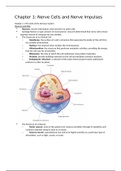 Pinel Biopsychology Chapter 1 Notes