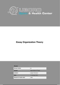 Organization Theory group assignment