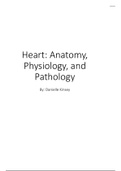 Cardiac: Heart Anatomy, Physiology, Pathology