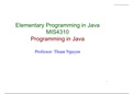 Elementary Programming in Java MIS4310