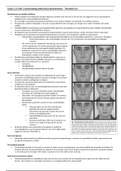 3.15 Artikel Thornhill (facial attractiveness)