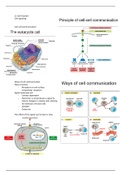 Summary Cell Biology and Immunology