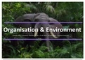 Organisation & Environment - Strategy Safari - Mintzberg, Alstrand, Lampel