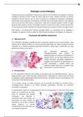 Patología cervical Benigna