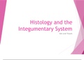 Histology and the Integumentary System Study Notes