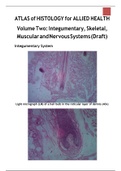 ATLAS of HISTOLOGY for ALLIED HEALTH Volume Two: Integumentary, Skeletal, Muscular and Nervous Systems (Draft)