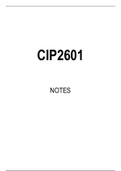 CIP2601 STUDY NOTES