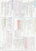 Social Psychology summary mind map page 1