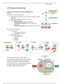 Cell biology and immunology summary