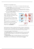 Anatomie en Fysiologie Samenvatting Martini Hoofdstuk 13.1 en 13.7