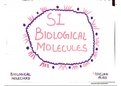 Preview - Section 1 Biological Molecules