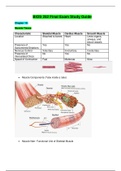 Chamberlain College of Nursing : BIOS 252 Final Exam Study Guide / BIOS252 Final Exam Study Guide (V4)(LATEST, 2020) : Anatomy and Physiology-II (All Correct, Download to score A)