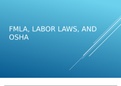 HRM 546 week 5-FMLA, Labor Laws, and OSHA PPT / HRM546 week 5-FMLA, Labor Laws, and OSHA PPT | LATEST:UNIVERSITY OF PHOENIX (100% SATISFACTIONS)